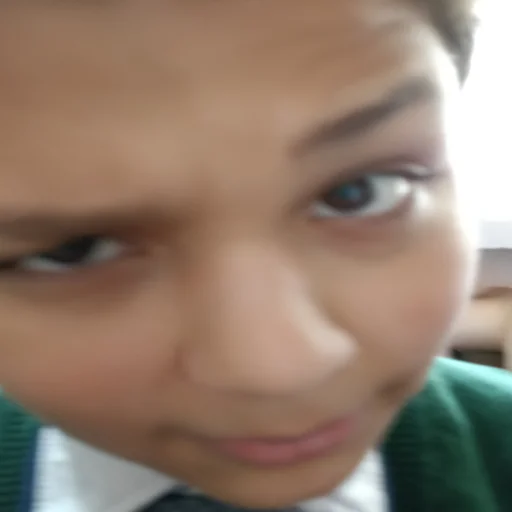 Sticker Бургеры с говядиной - 4