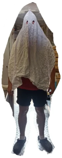 mammal footwear clothing