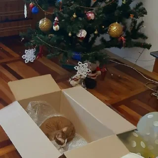 Sticker Бурмистер - 1