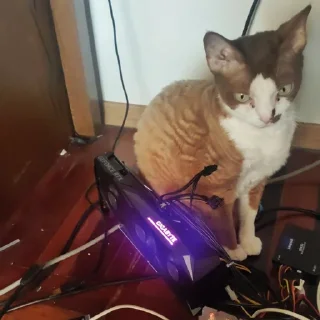 Sticker Бурмистер - 5