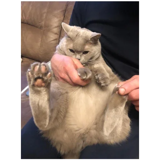 Стикер Busa79 - 1