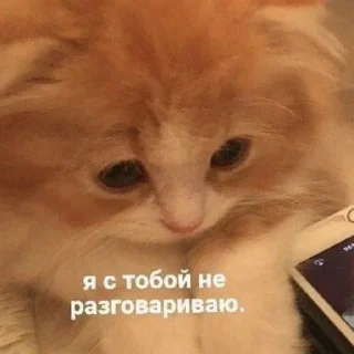 Стикер Бусинки - 0