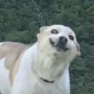 Стикер Бусинки - 3