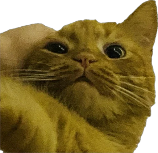 Стикер Buska_piska - 1