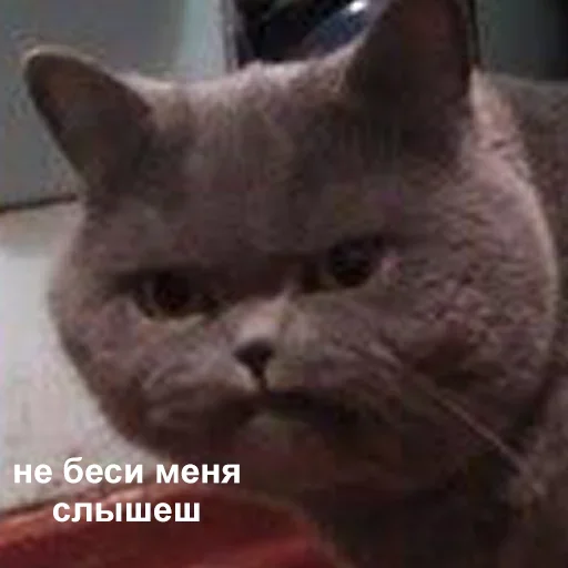Sticker БутиК - 1