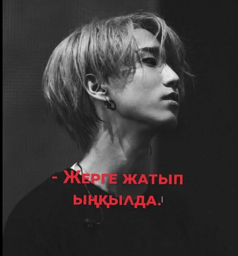 human face portrait style