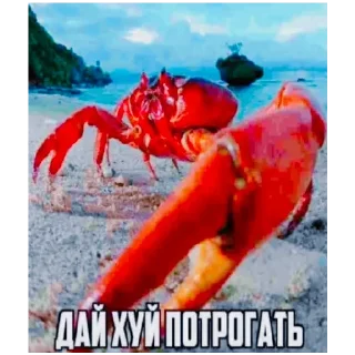 Sticker By forenzi for litch - 9