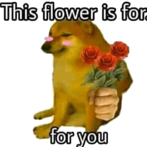 СМС плакат животное