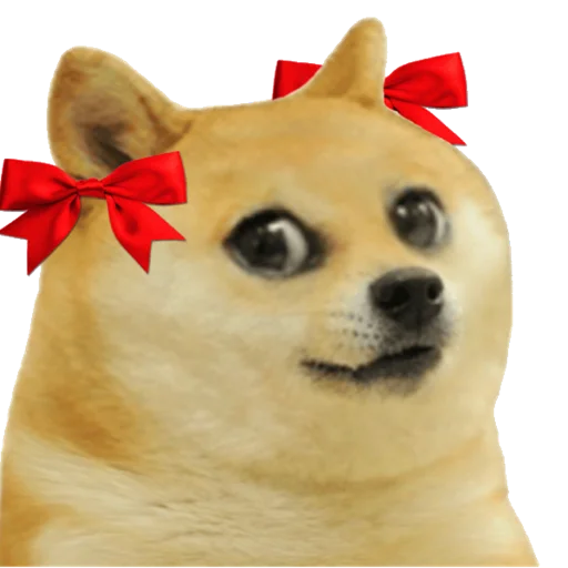 собака домашнее животное порода собак