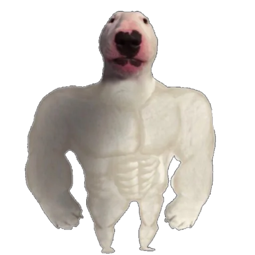 млекопитающее искусство