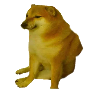 Doge - животное