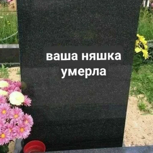 могила кладбище похороны