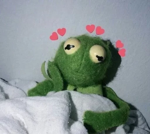 игрушка мягкая игрушка плюш