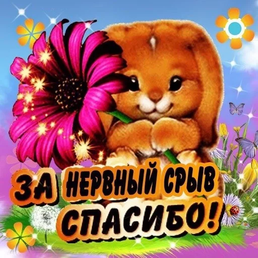 flower teddy bear birthday cake