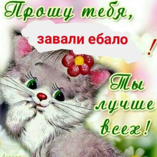 кошка млекопитающее СМС