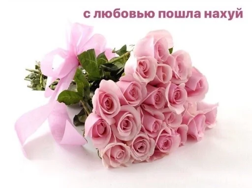 цветок растение лепесток