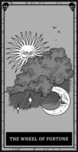 СМС черно-белый