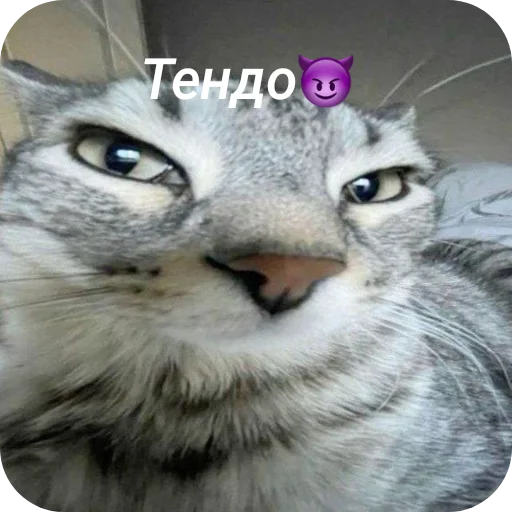 Sticker Bygela_by_TgEmodziBot - 1