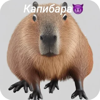 Стикер Иди нахуй @TgEmodziBot - 4