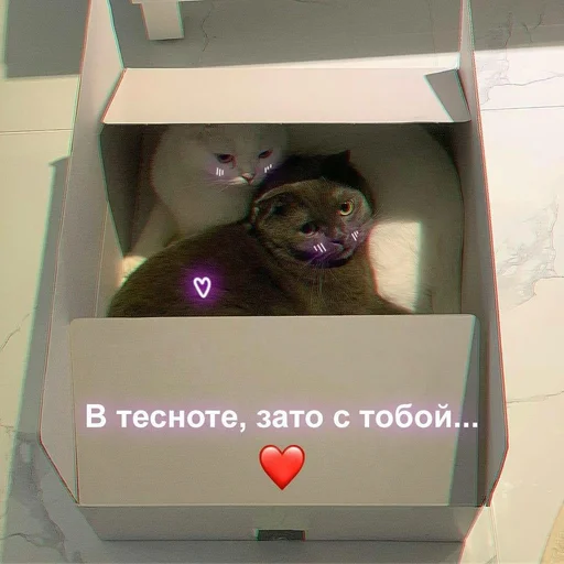 Sticker Byraise555 - 1