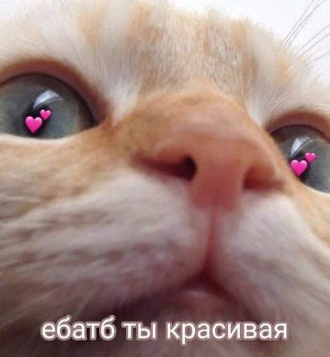 Стикер Byraise555 - 1