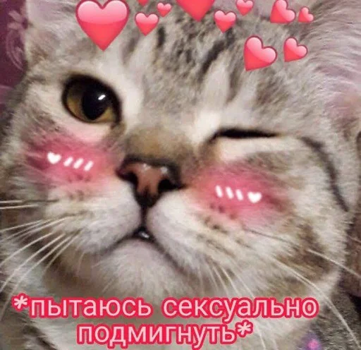 Стикер Byraise555 - 1