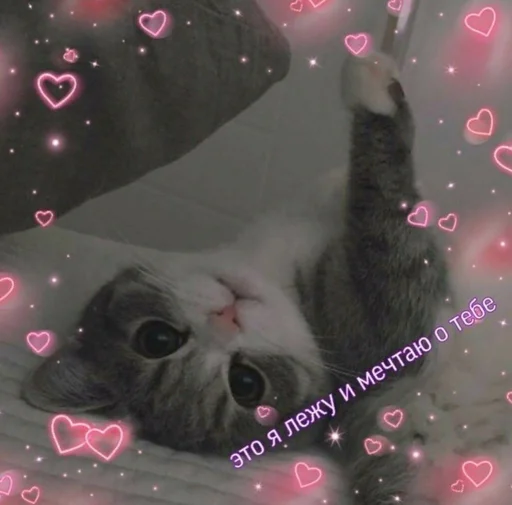 Стикер Byraise555 - 1