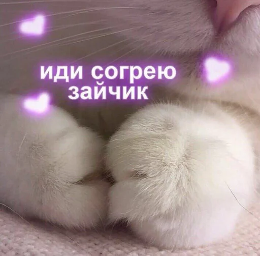 Стикер Byraise555 - 1