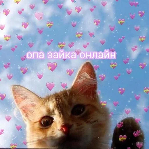 Стикер Byraise555 - 1