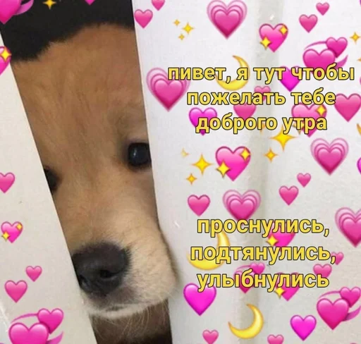 Sticker Byraise555 - 1