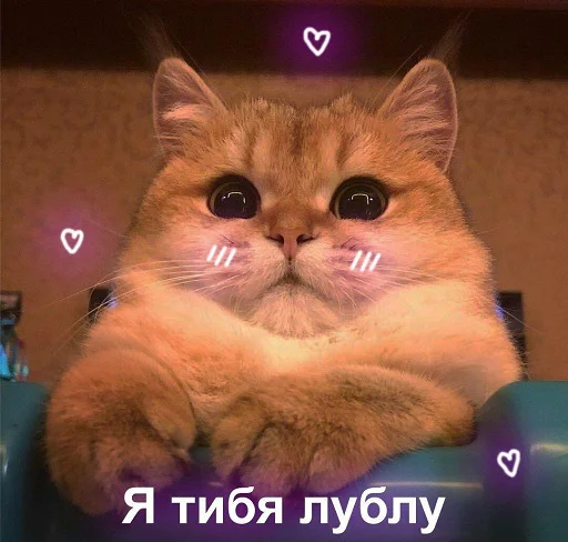 Стикер Byraise555 - 1