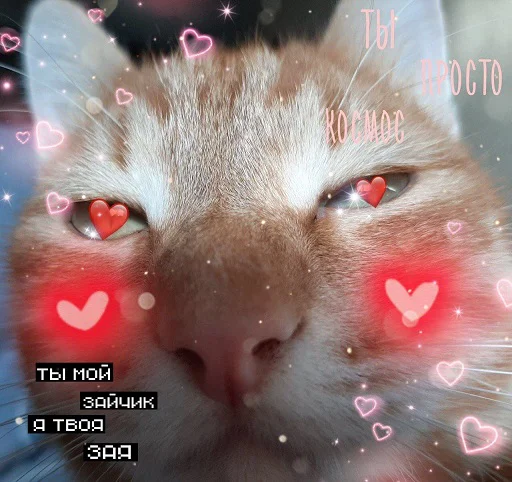 Sticker Byraise555 - 1