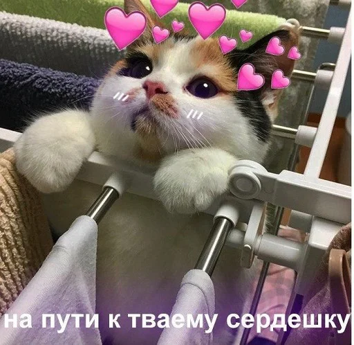 Sticker Byraise555 - 1