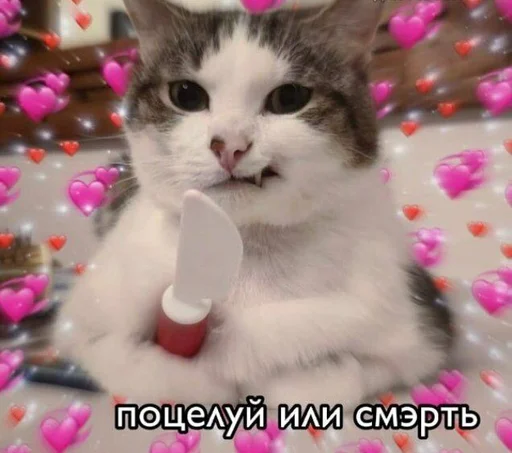 Sticker Byraise555 - 1