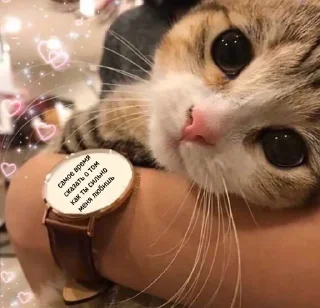 Sticker Няшечки от @raise555 - 9