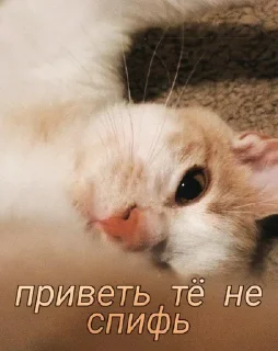 Sticker Няшечки от @raise555 - 4