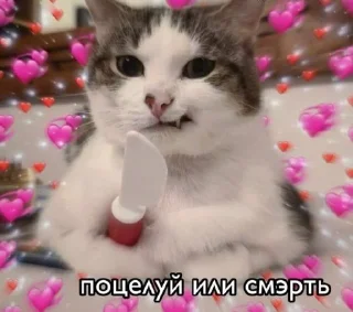 Sticker Няшечки от @raise555 - 5