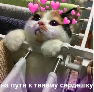 Sticker Няшечки от @raise555 - 6