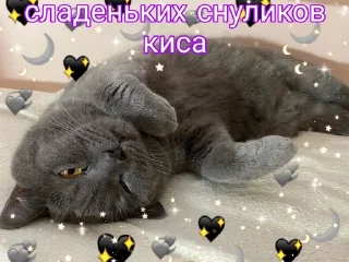 Sticker Няшечки от @raise555 - 8