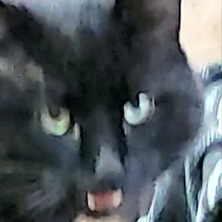 Стикер Damn - 5