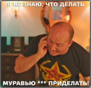 person human face man