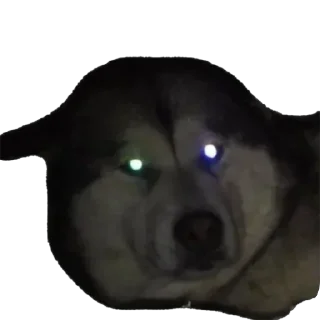 Sticker Быстрая, дерзкая - 0