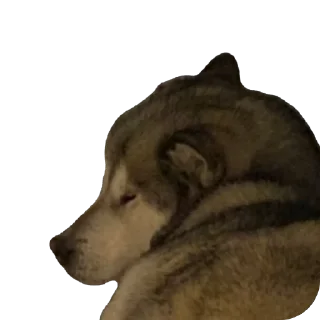 Sticker Быстрая, дерзкая - 1