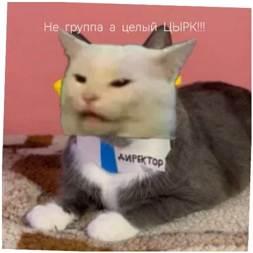 Стикер BzzzCusevAvtorDobavlyuEshchyoObrashchajtes - 1