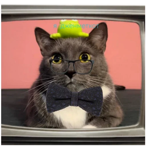 Стикер BzzzCusevAvtorDobavlyuEshchyoObrashchajtes - 1