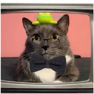 Стикер @bzzz_Kinih Автор. Добавлю ещё - 5