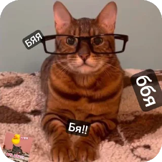 Стикер @bzzz_Kinih Автор. Добавлю ещё - 7