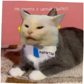 Стикер @bzzz_Kinih Автор. Добавлю ещё - 10