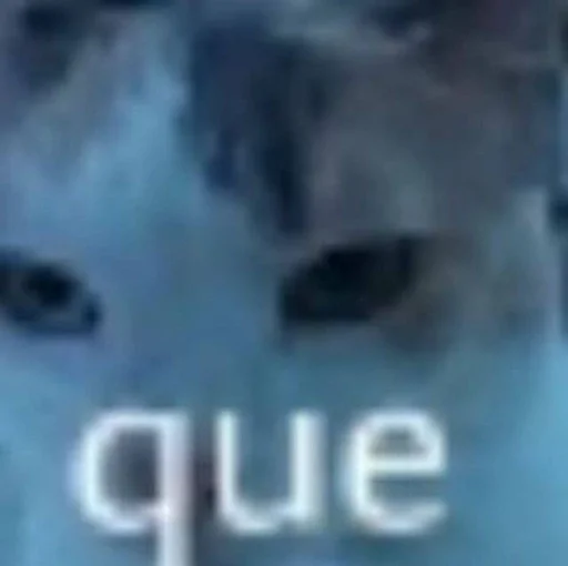 СМС животное млекопитающее