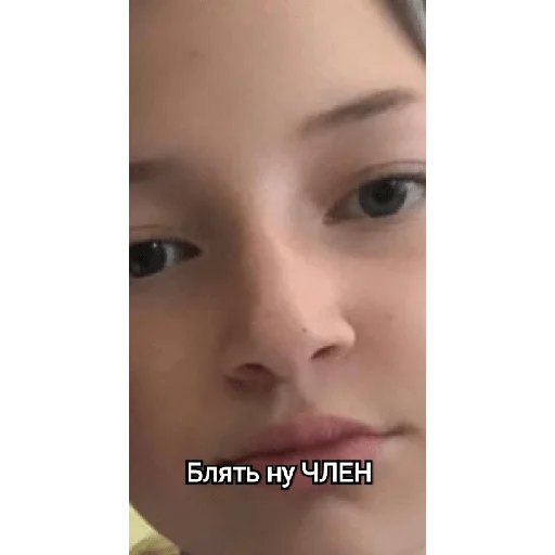 Sticker бибра - 3